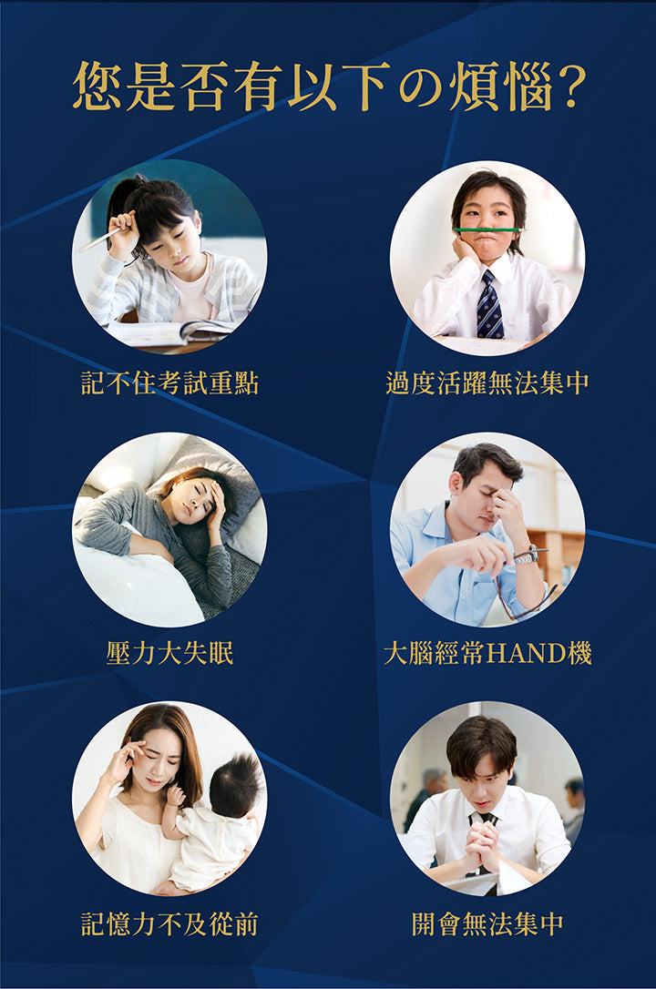 日本命力 - 強腦素 (60粒裝）<$388盒起>